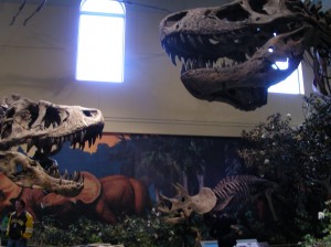 Carnegie Dinos