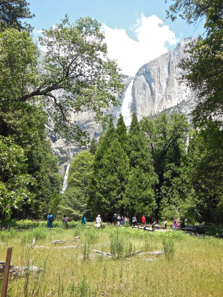 Yosemite Falls