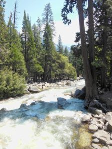 River downstream of Yosemite Falls